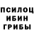 Галлюциногенные грибы Psilocybe vanek money
