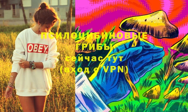 эйфоретик Кулебаки