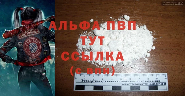 спиды Лагань