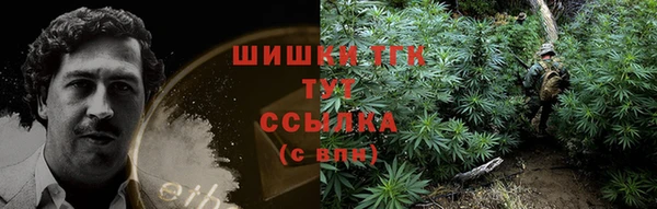 эйфоретик Кулебаки