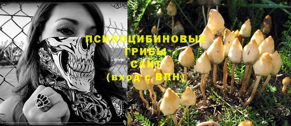 спиды Лагань